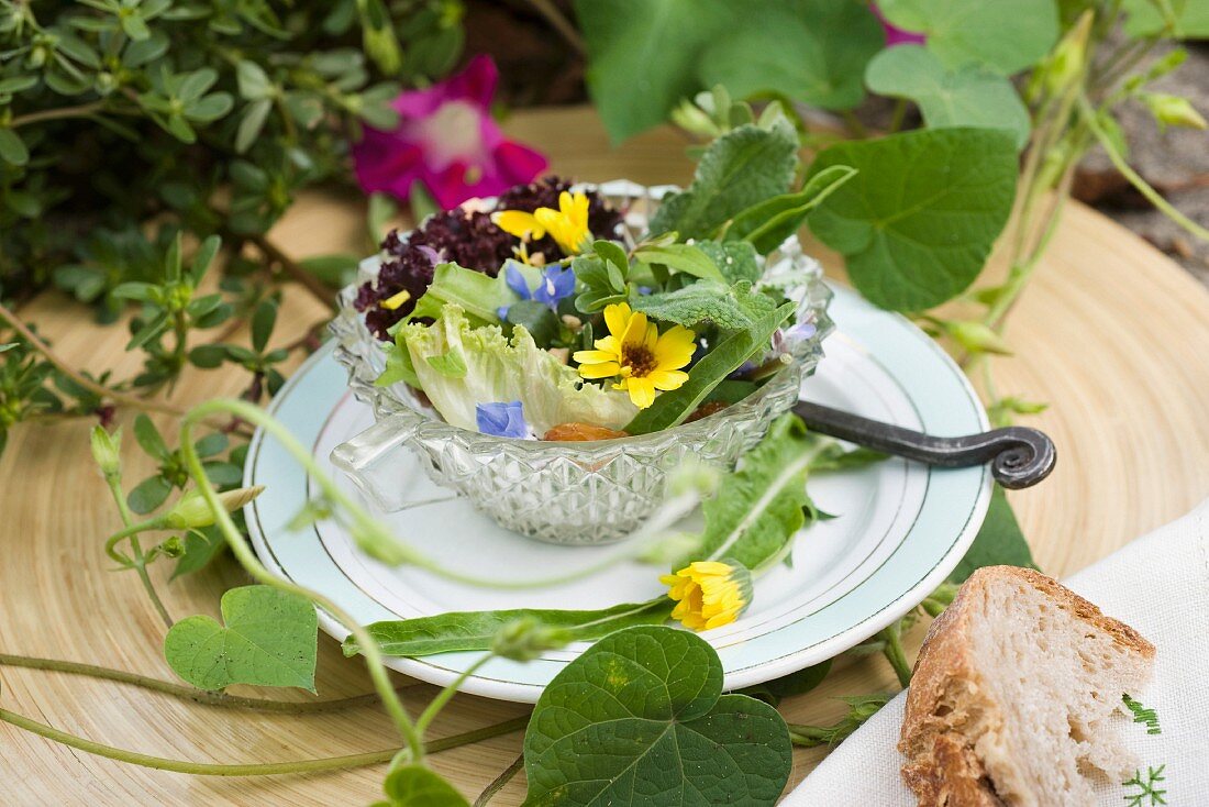Mixed leaf salad with herbs and edible flowers