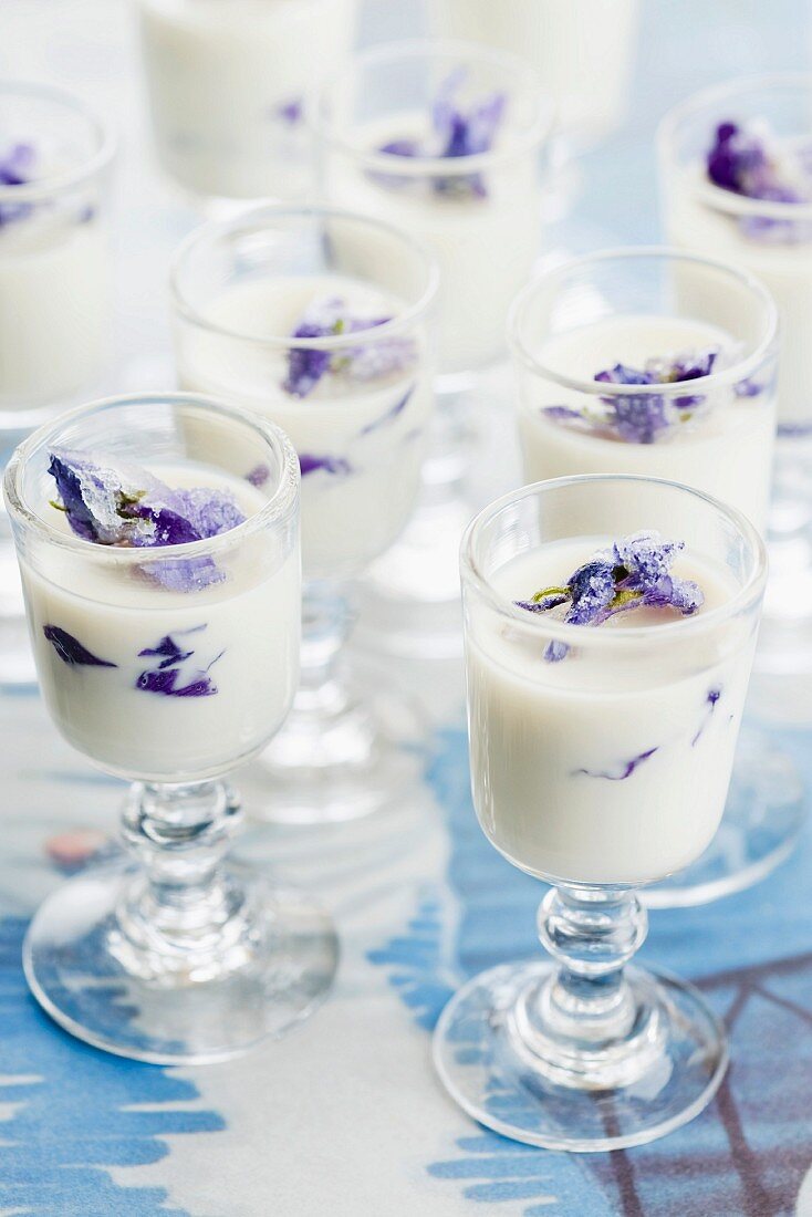 Panna cotta garnished with sugared violets