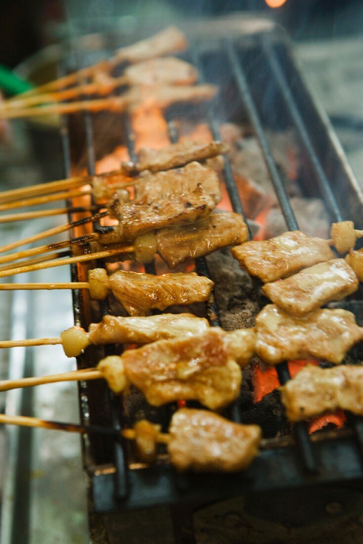 Schweinefleischspiesschen auf dem Grillrost