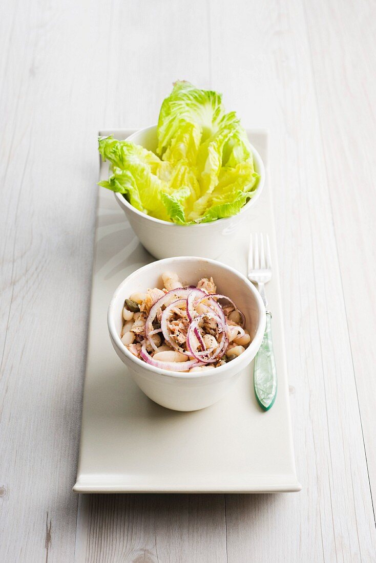 White bean salad with tuna and onions