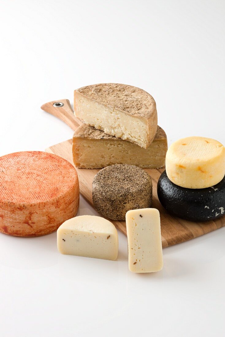 Various types of hard cheese