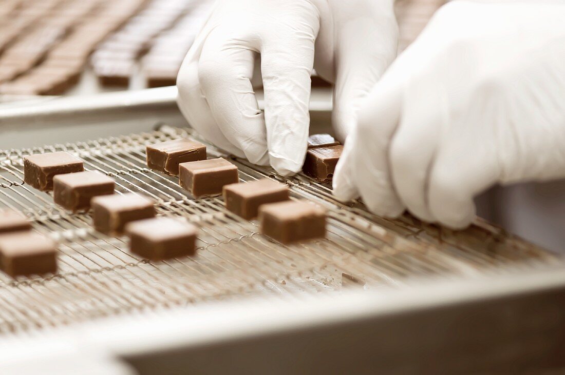 Industrial manufacture of filled chocolates: centres being prepared for coating with chocolate