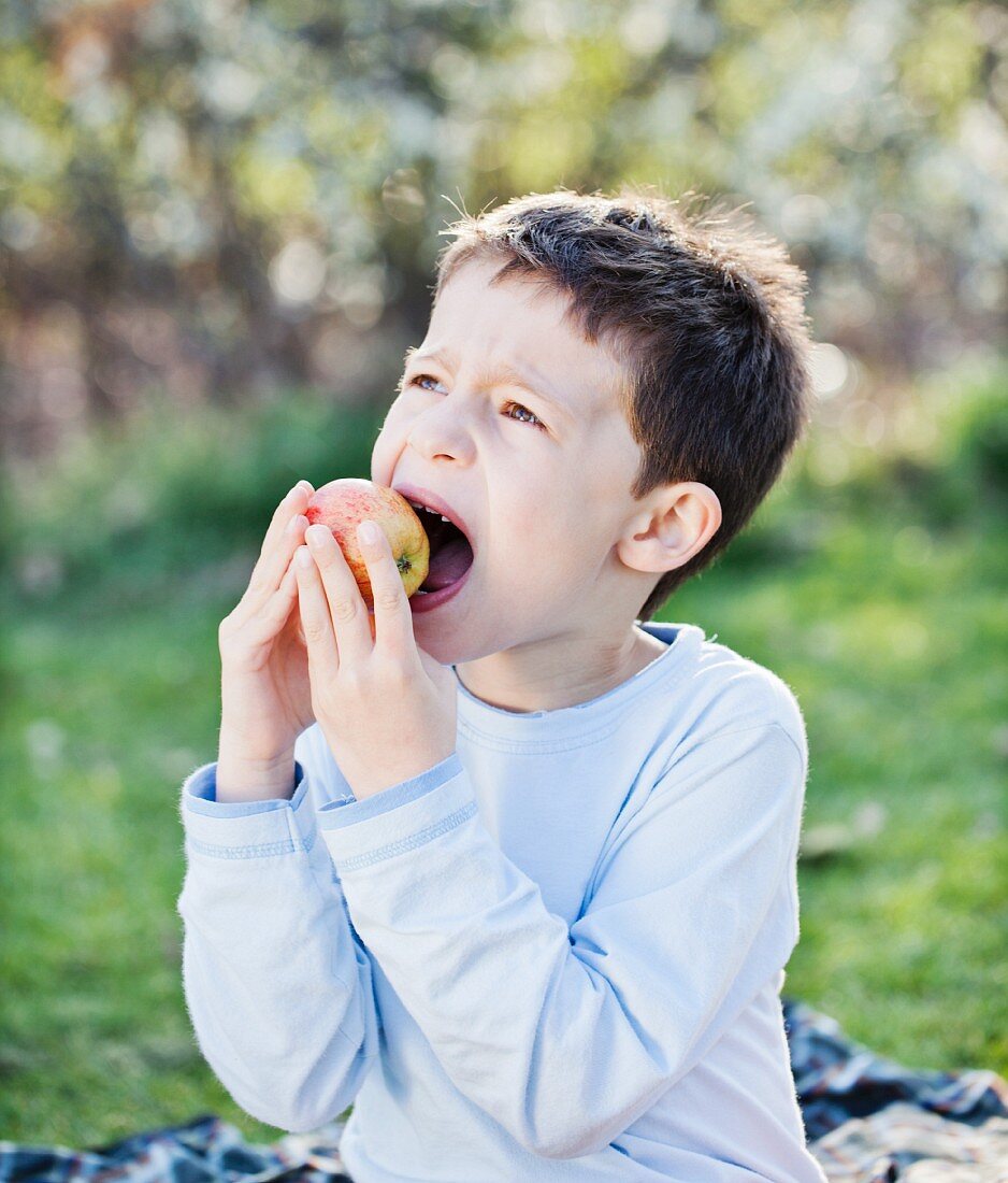 A little boy biting into an apple