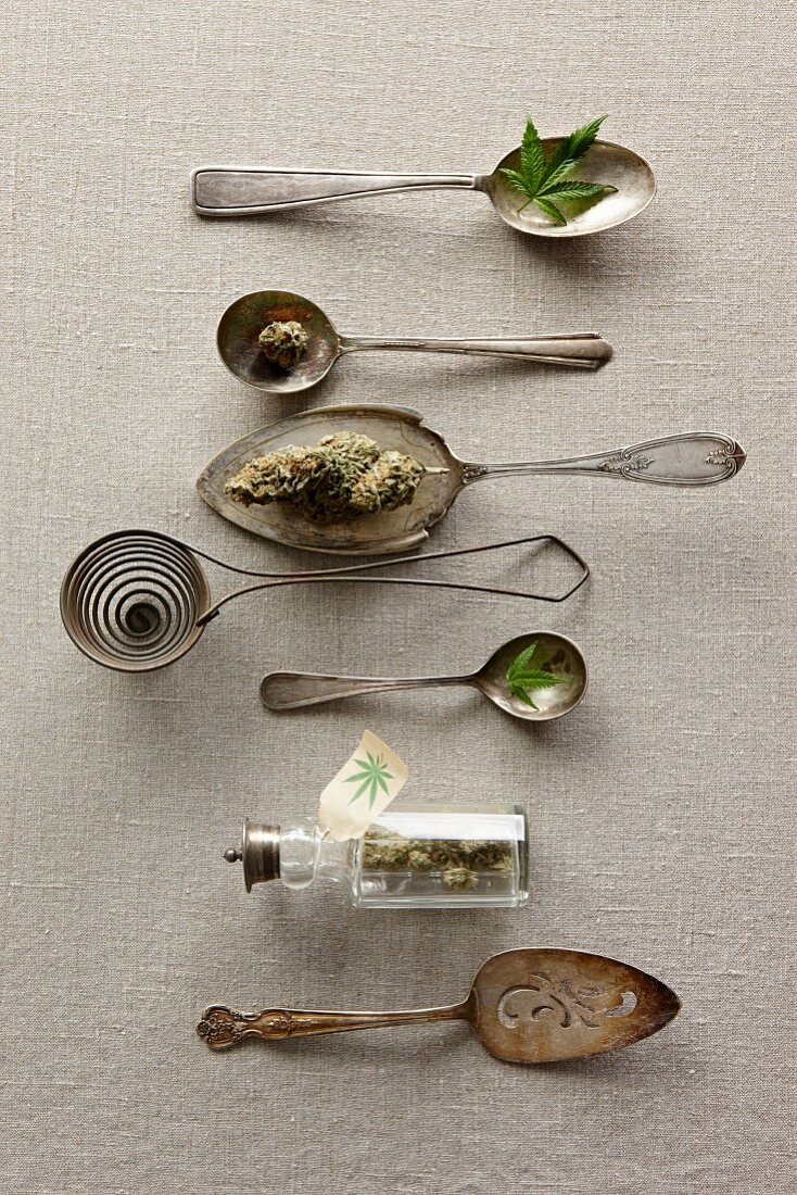 Antike Silberlöffel mit Marihuanablättern und -knospen