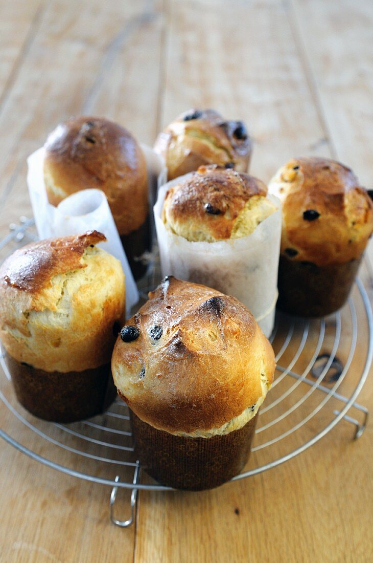 Mini-Panettone auf Kuchengitter (Hefekuchen, Italien)