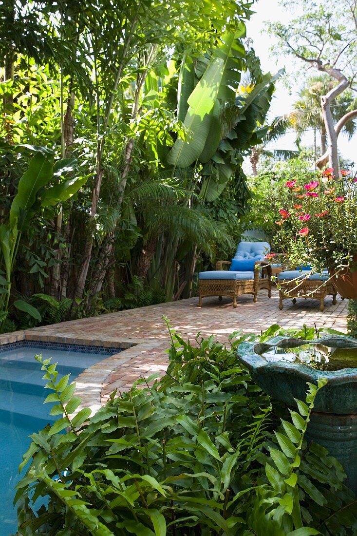 Landscaping along in ground swimming pool