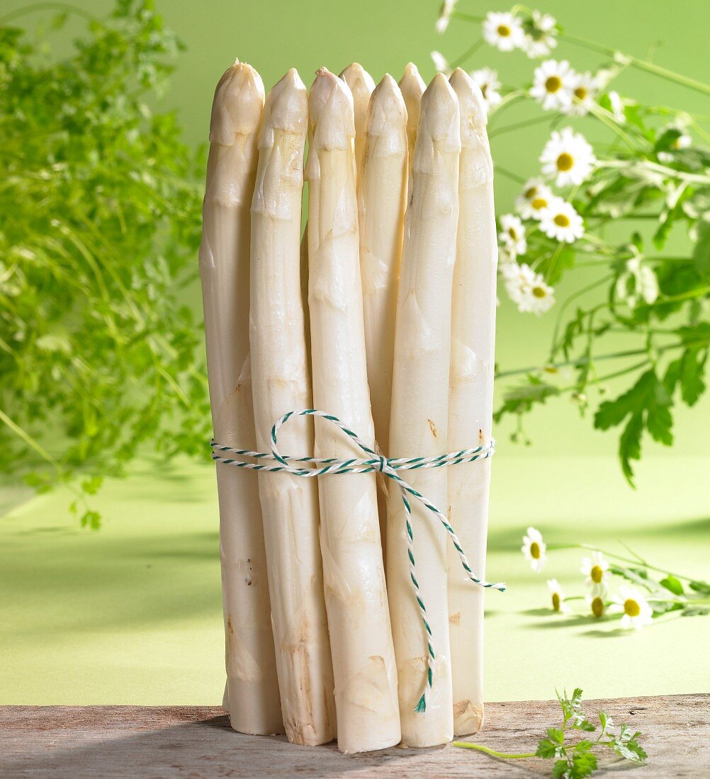 An arrangement of white asparagus, chervil and chamomile