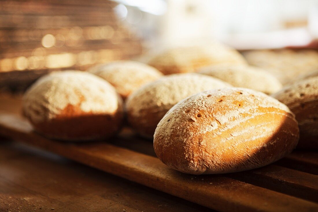 Bread rolls on a wooden rack