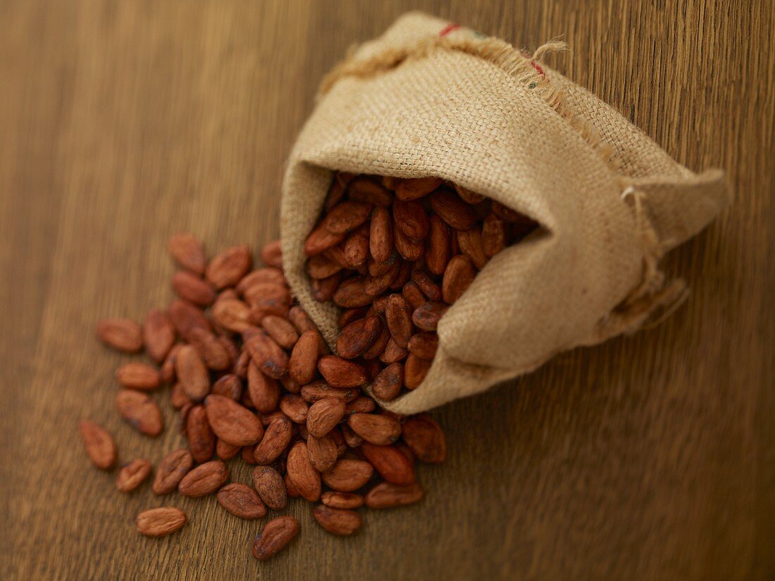 Cocoa beans in a jute sack