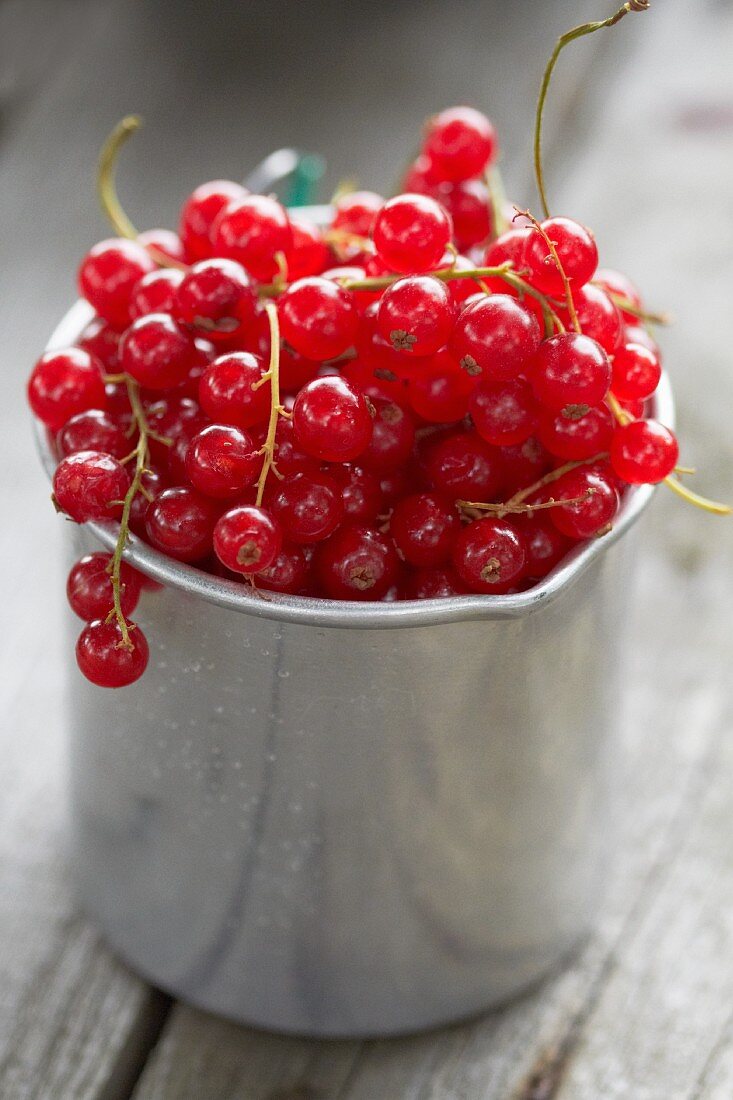 Rote Johannisbeeren im Zinkbecher