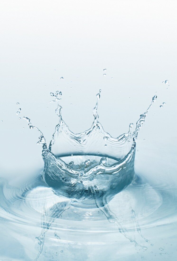 A water glass with a splash – License Images – 11208228 ❘ StockFood