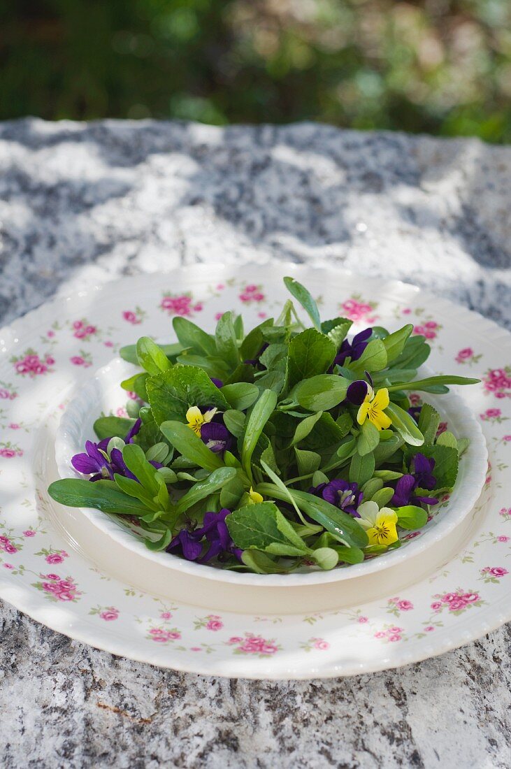 Lamb's lettuce with violet flowers and leaves