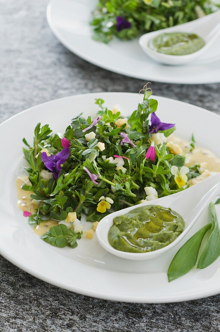 Spring herb salad with pea and wild garlic mousse