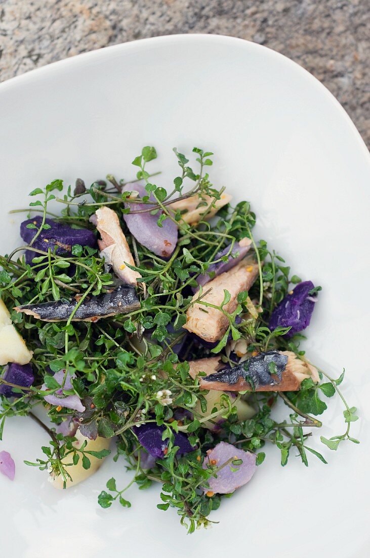 Herb salad with fish and a trio of potatoes