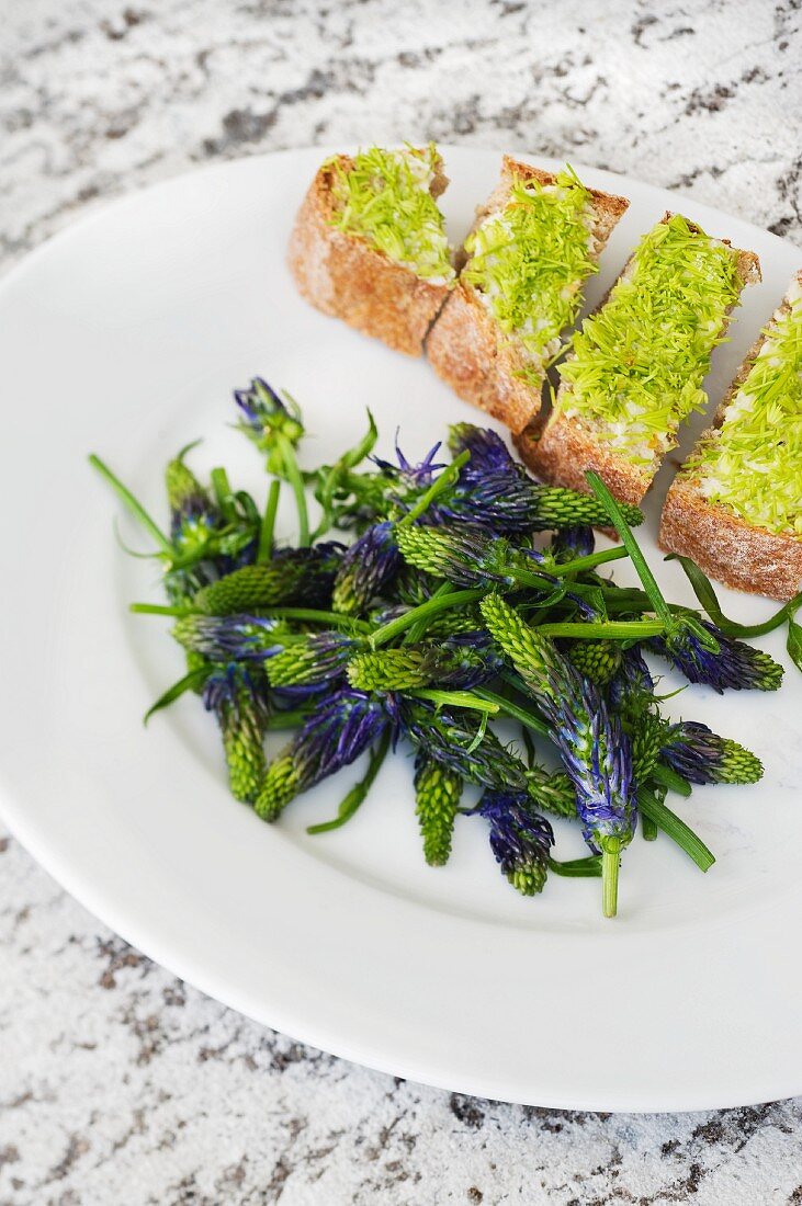 Teufelskrallenblüten mit Haselnussöl und Butterbrot mit Tannensprossen