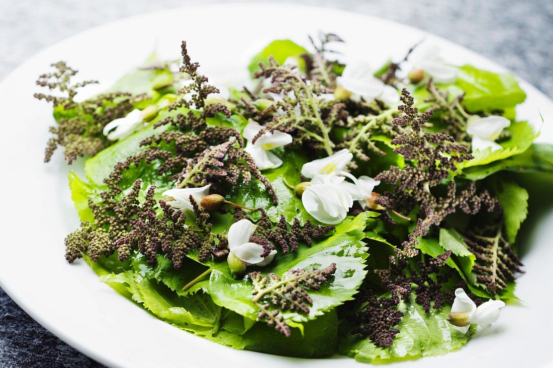 Stinging nettle and lime leaf salad