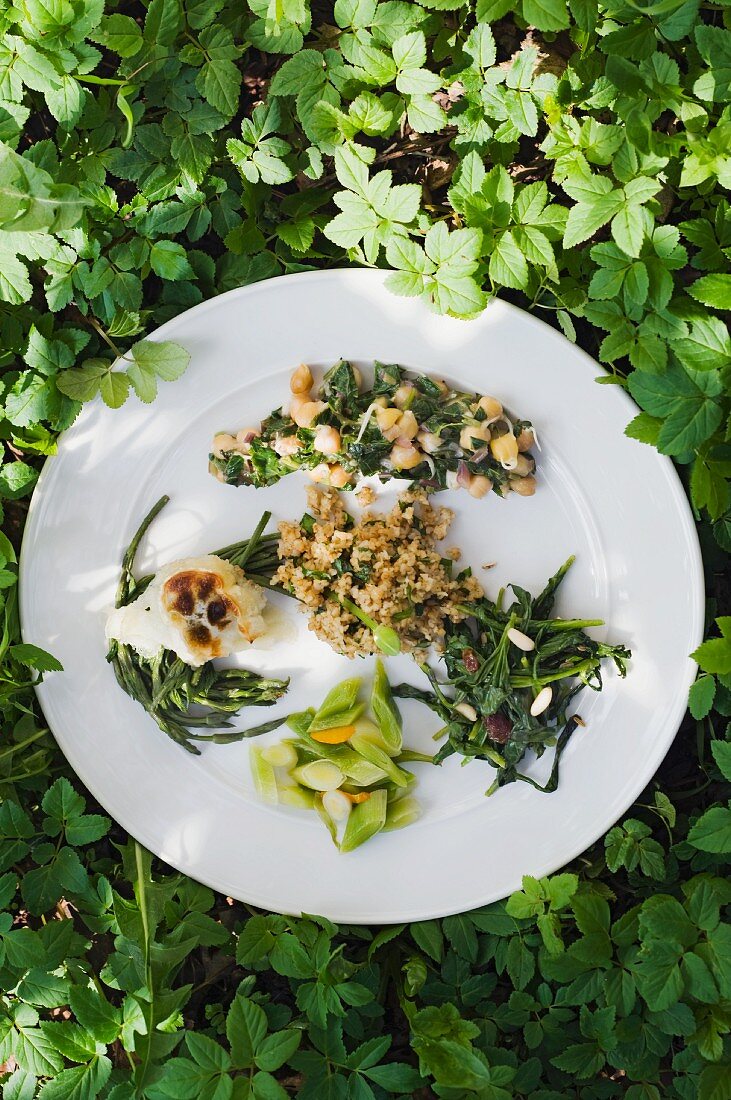 Variations of wild herb dishes on a plate