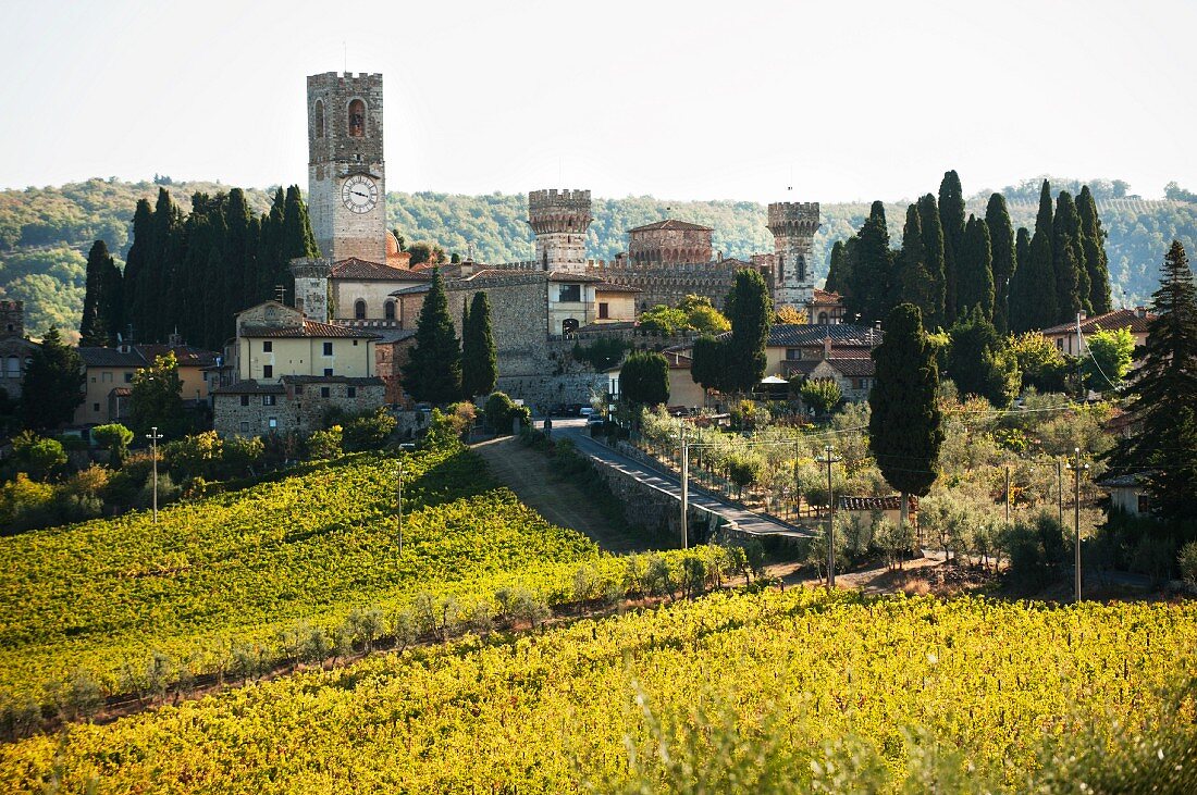 Badia a Passignano, Marchesi Antinori winery (Tuscany)