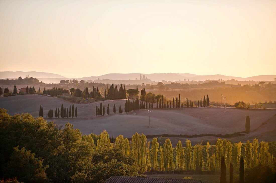 Landscape on the southern edge of the Chianti Classico region with the towers of Siena in the background