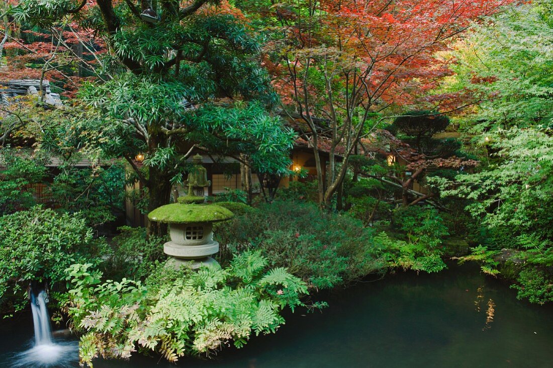 A Japanese garden