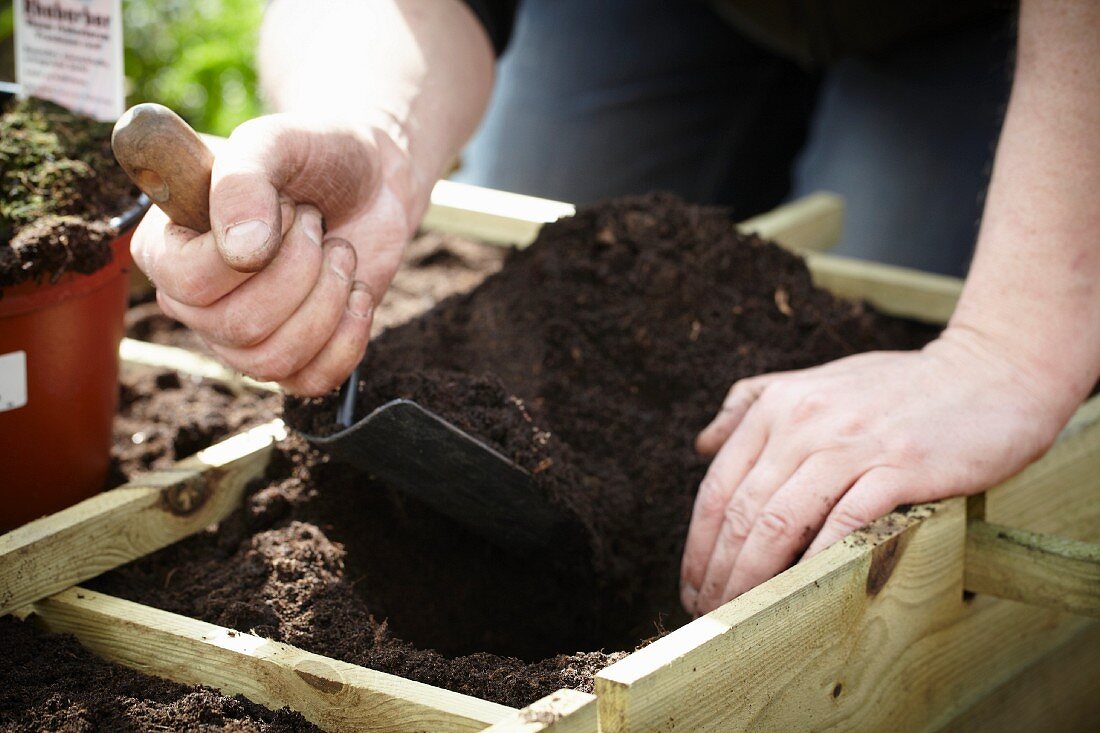 Gardening - soil being shovelled into a seedling bed