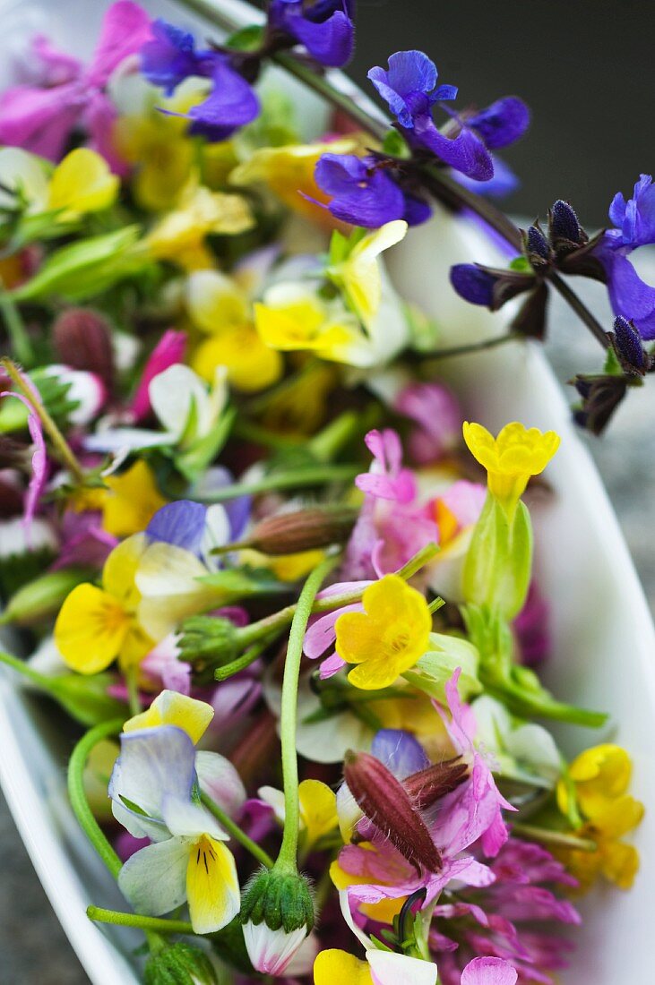 A sea of flowers