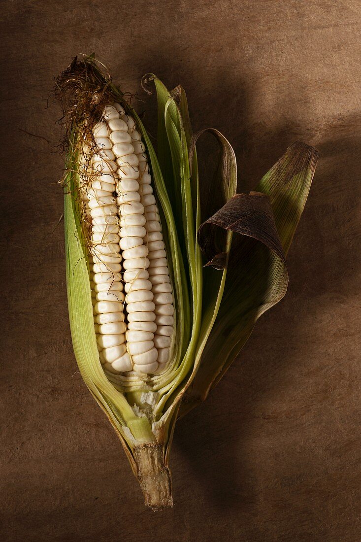 A Peruvian corncob