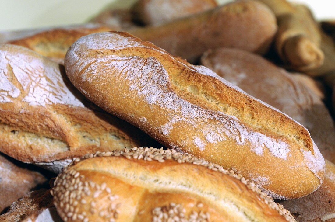 Ciabatta bread in a bakery