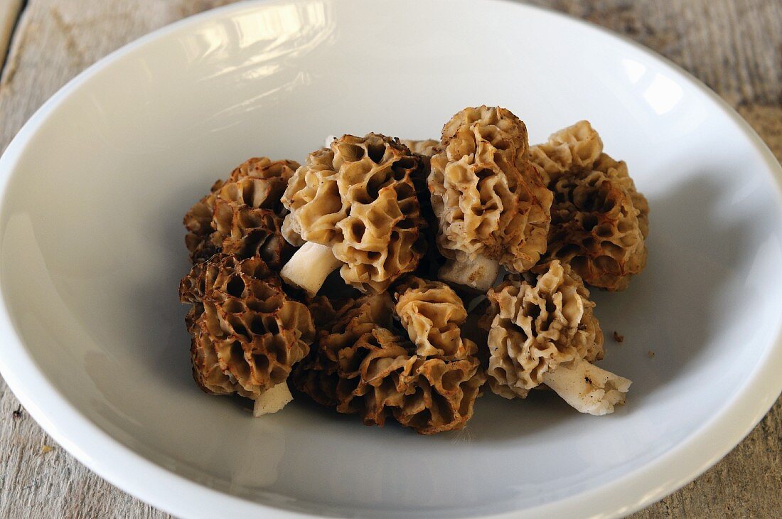 Fresh morel mushrooms on a plate