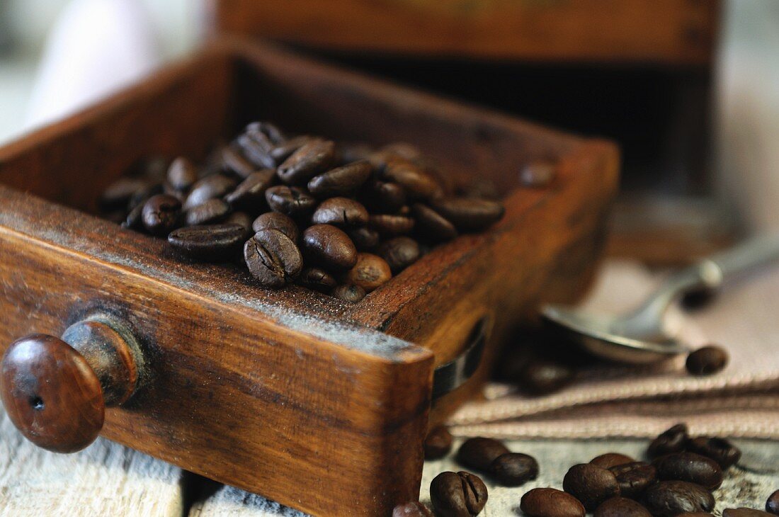 Coffee beans in an old coffee mill