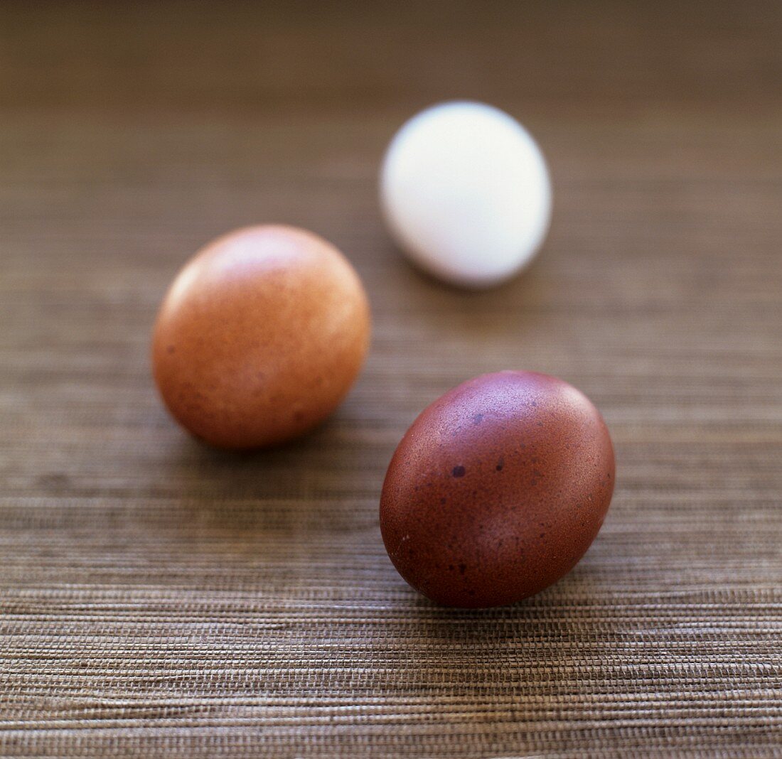 Dunkelbraune, hellbraune und weiße Eier