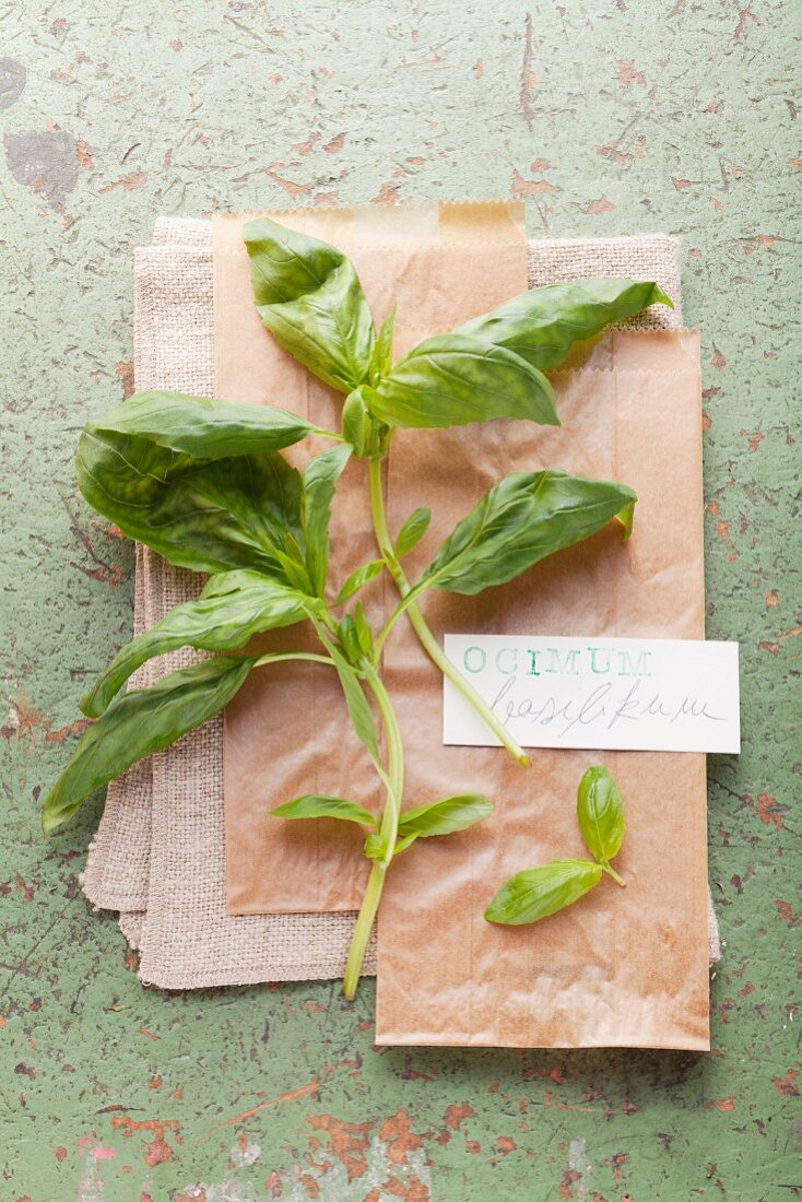 Fresh basil with a label