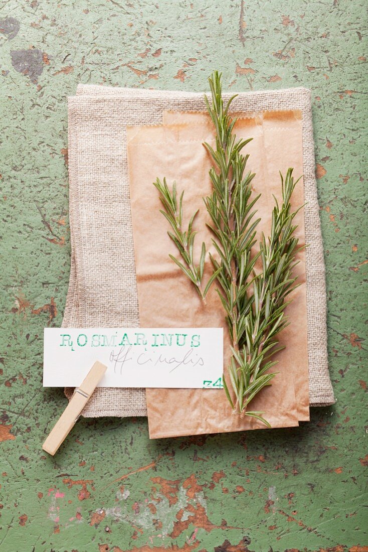 Fresh rosemary with a label