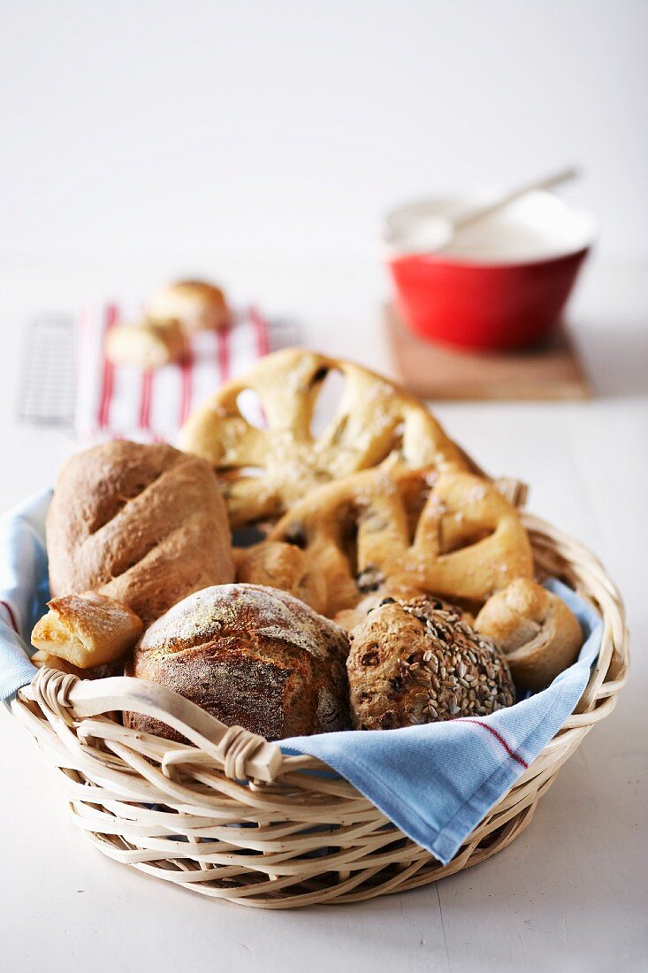 Various types of bread in bread basket