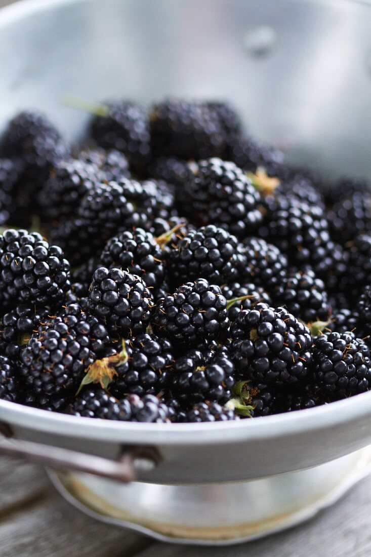 Viele Brombeeren im Küchensieb