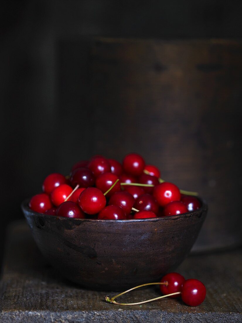 A bowl of morello cherries