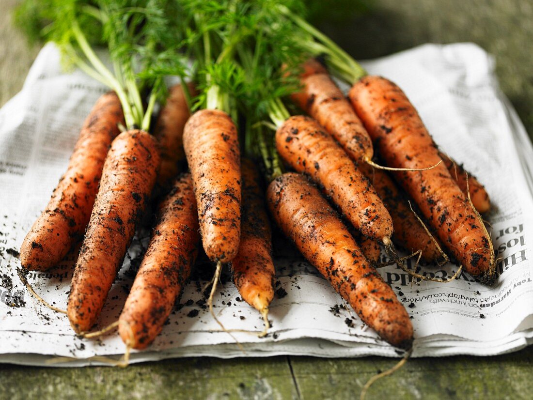 Fresh organic carrots on a newspaper