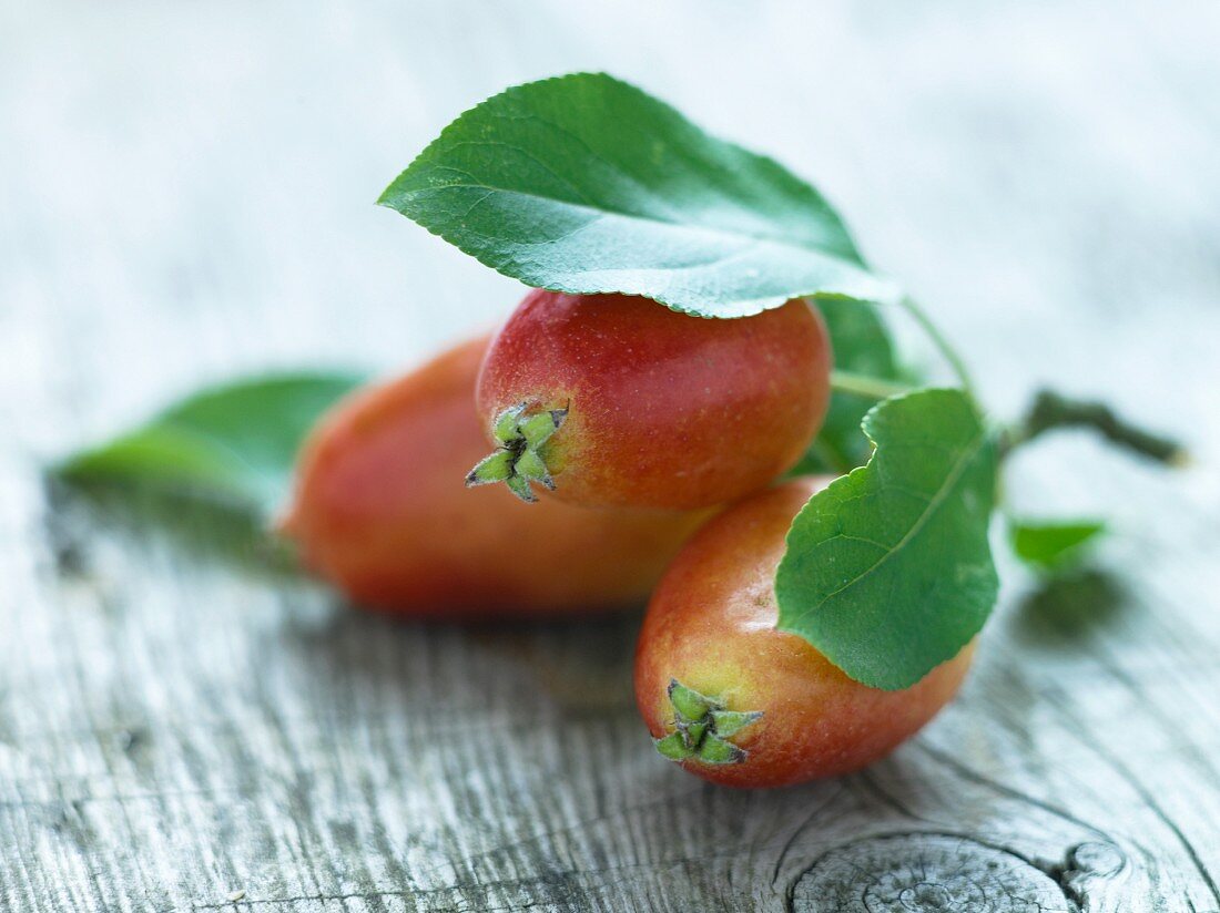 Crabapples am Zweig mit Blättern