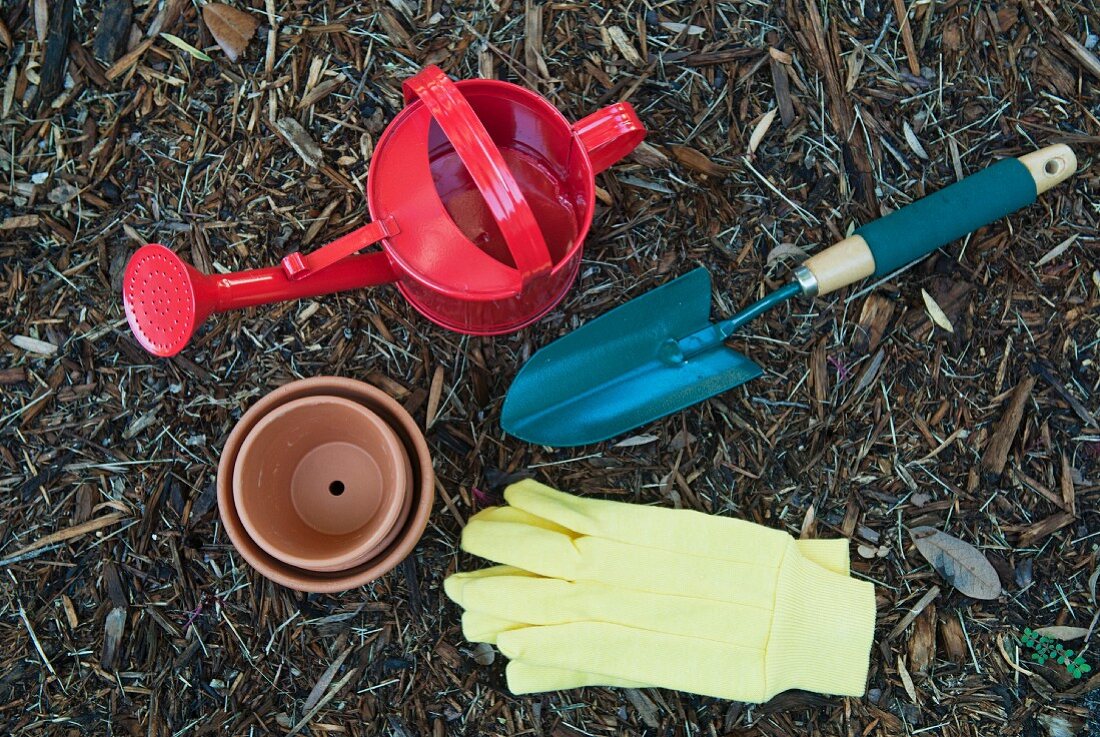 Various gardening utensils