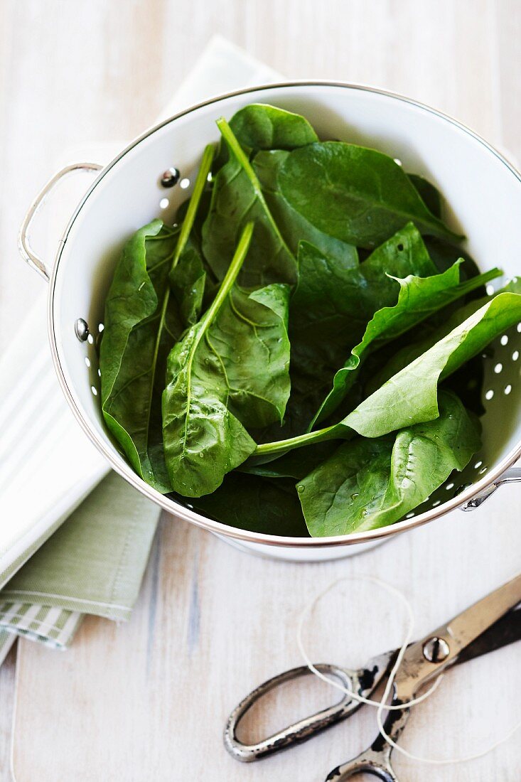 Fresh spinach in a colander