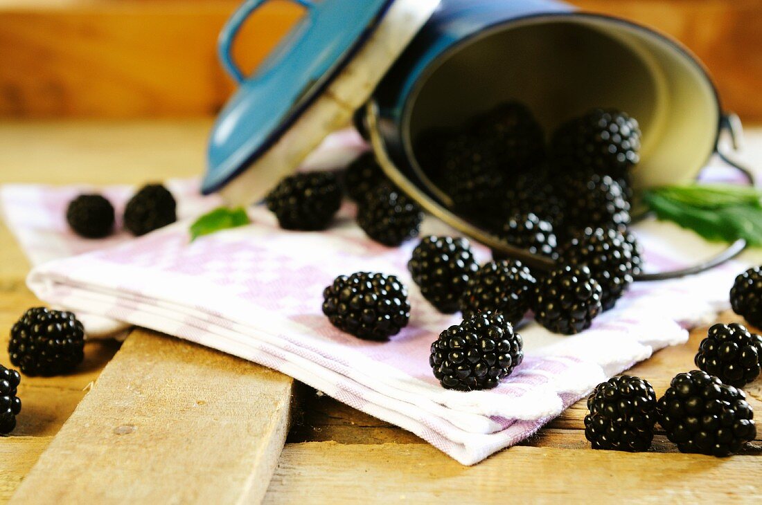 A tin full of blackberries spilling onto a table