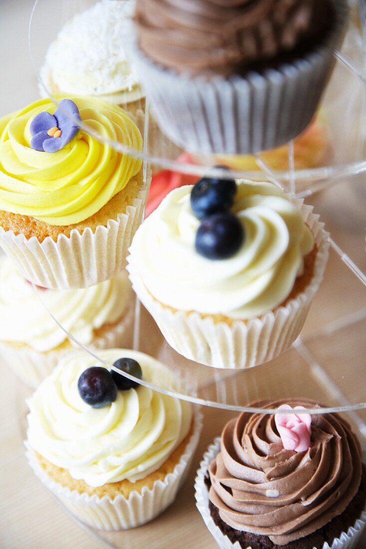 Various cupcakes (blueberry, chocolate and lemon) on a cake stand