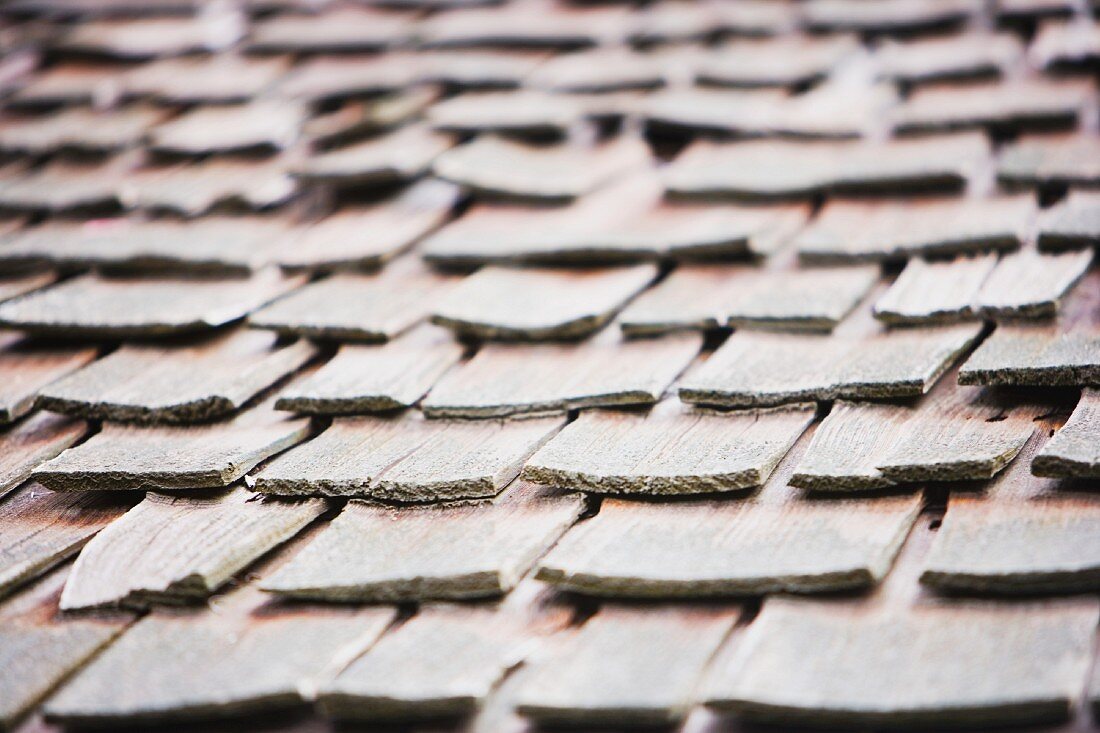 Detail of Wood Shingles