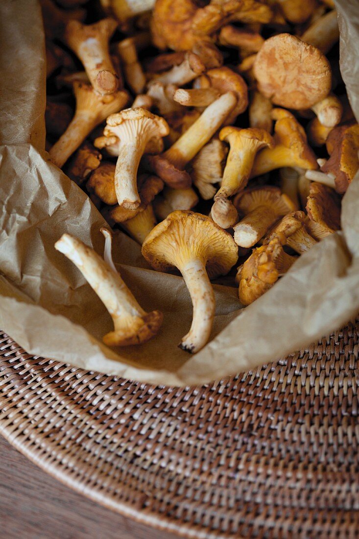Fresh chanterelle mushrooms on a piece of paper