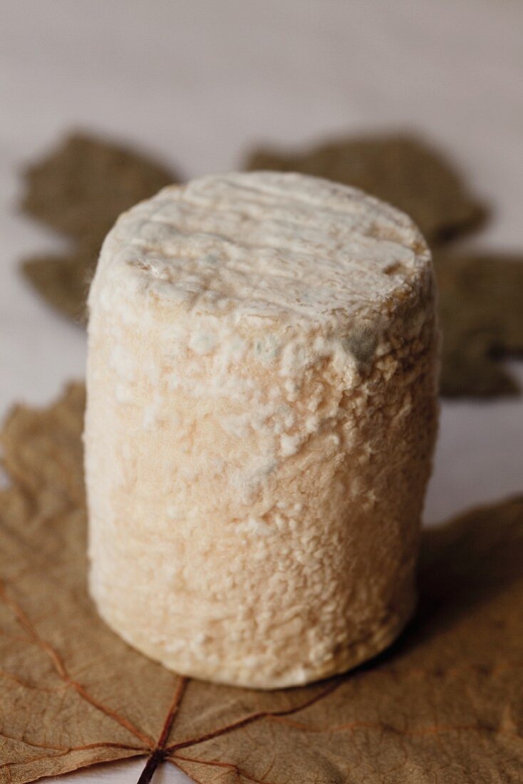 Goat's cheese