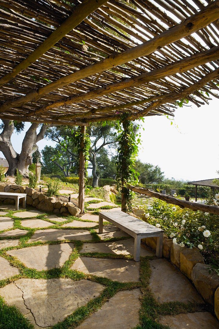 Old wooden bench under a large canopy on stone patio