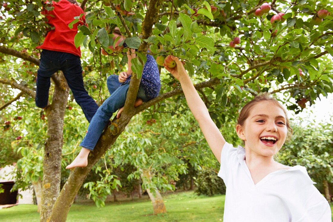 Drei Kinder pflücken Äpfel am Baum