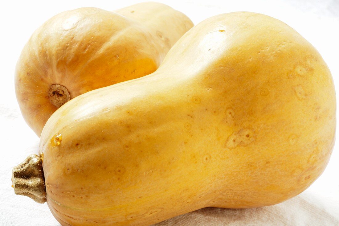 Two Butternut Squash