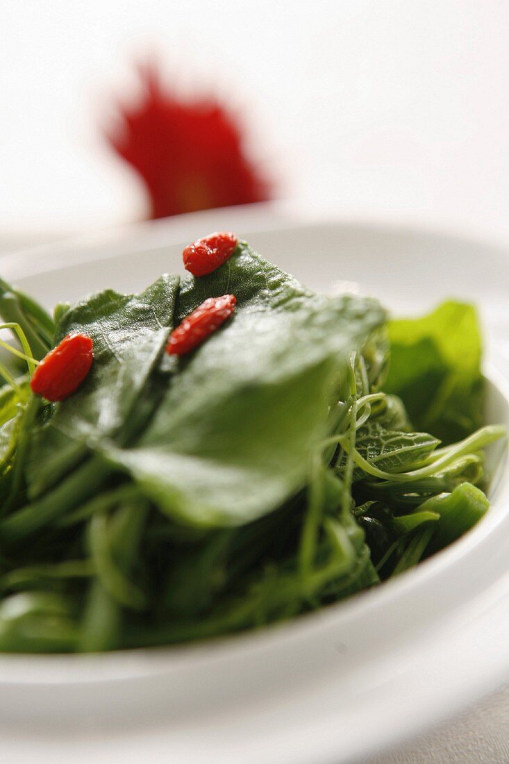 Gemischter Blattsalat mit Gojibeeren (China)