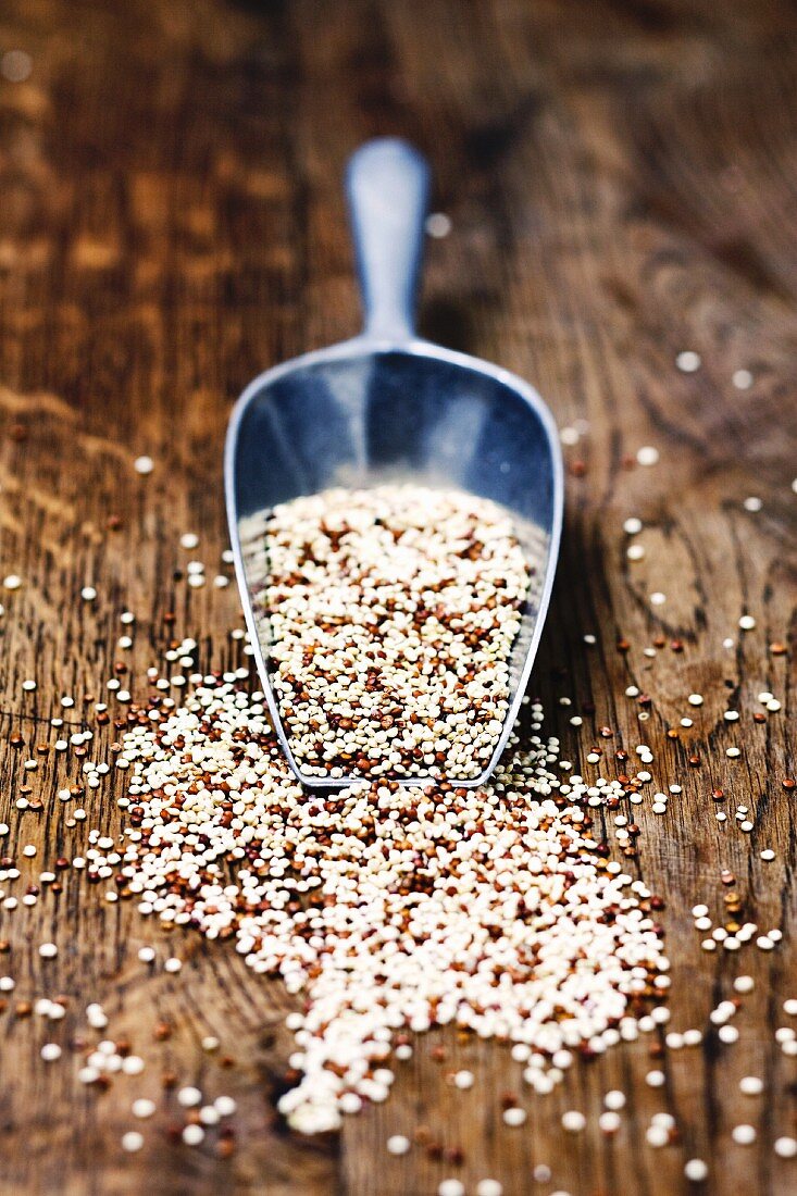 Quinoa on a scoop